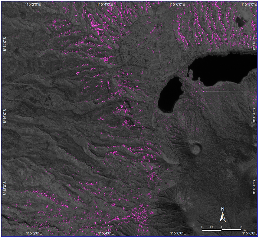 Georeferenced SVM-based evidence of agroforestry in the Alas Mertajati