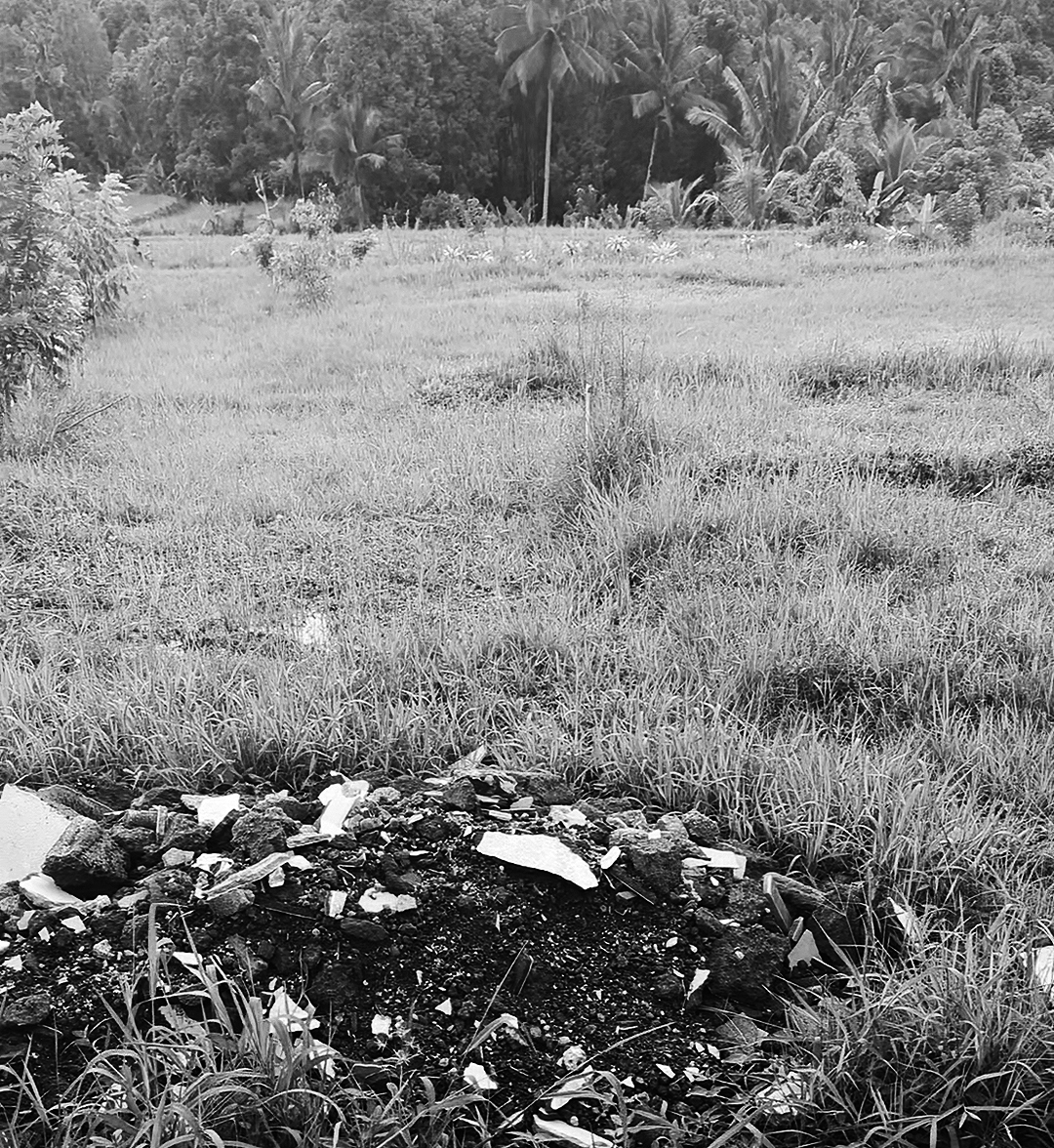 An abandoned rice paddy becomes a construction site
